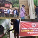 Dinas Ketapang Korneles Naa Apresiasi Bantuan Mesin Produksi untuk Petani Kacang Aitinyo, Dorong Ekonomi Petani