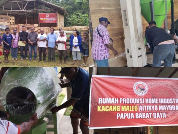 Dinas Ketapang Korneles Naa Apresiasi Bantuan Mesin Produksi untuk Petani Kacang Aitinyo, Dorong Ekonomi Petani