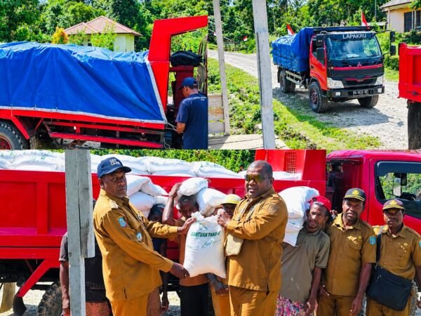 Bantuan Beras Mulai Disalurkan, Maybrat Padukan Pangan Nasional dan Lokal melalui Inovasi MAPAN